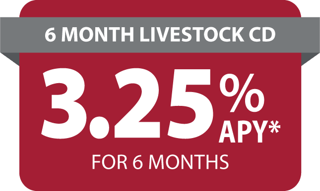 Woman holding open sign